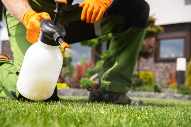 Best Residential Pest Control  in Ellijay, GA