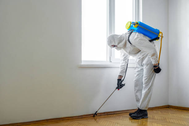 Best Wasp Removal Services  in Ellijay, GA