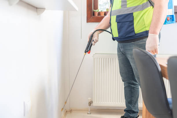 Best Pest Removal Services  in Ellijay, GA