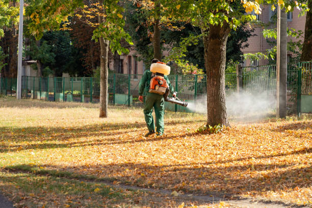 Best Affordable Pest Control Services  in Ellijay, GA