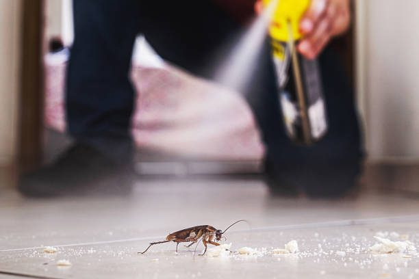 Best Commercial Pest Control Services  in Ellijay, GA