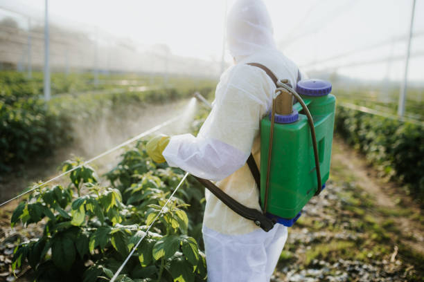 Best Pest Control for Homes  in Ellijay, GA